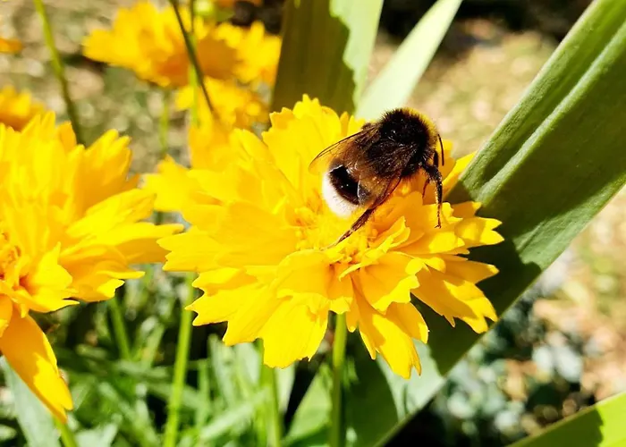 酒店 库尔帕克布里克酒店 巴特贝格匝本