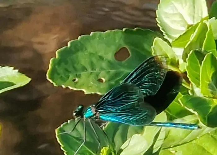 库尔帕克布里克酒店