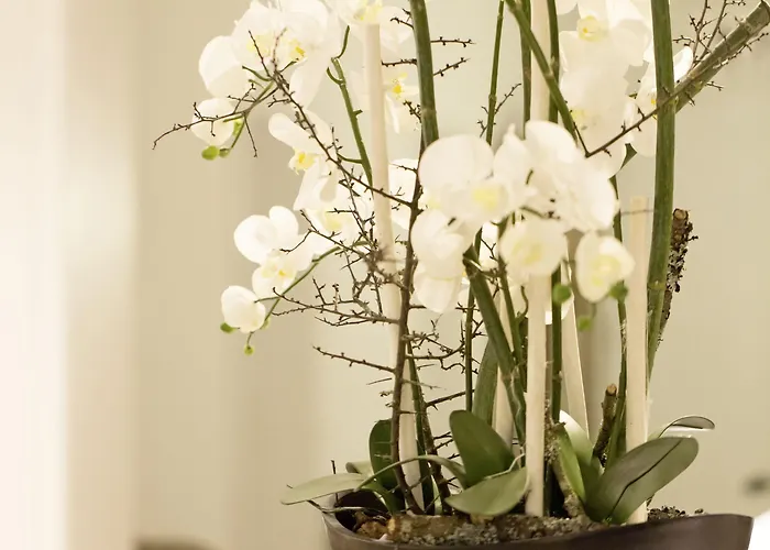 库尔帕克布里克酒店 3*